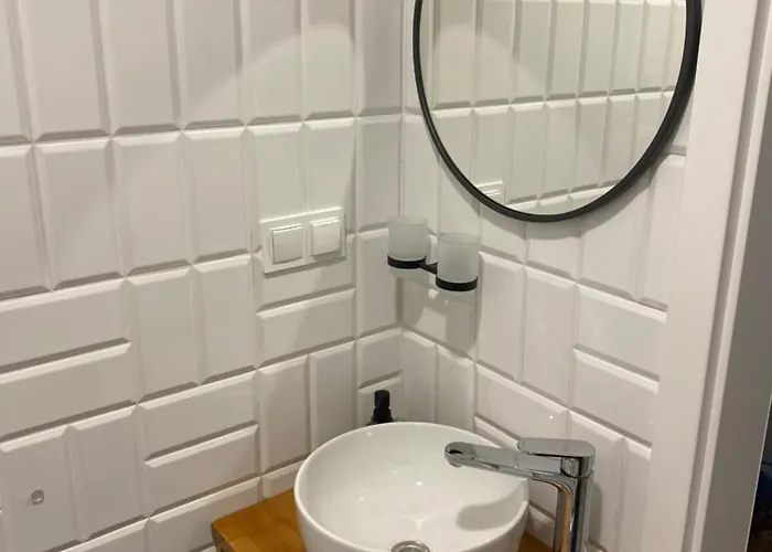 Nad Stara Odra 公寓 *