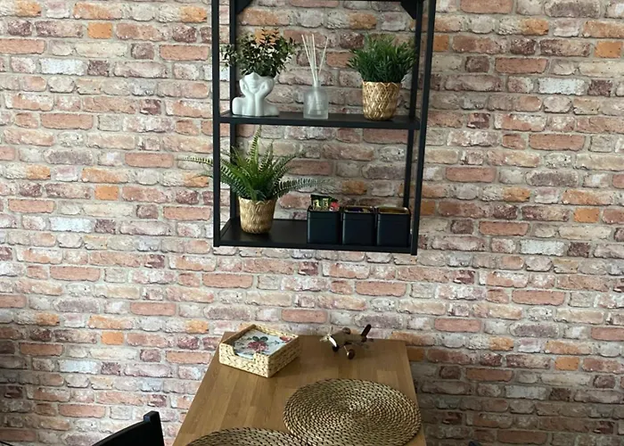 Nad Stara Odra Apartment *